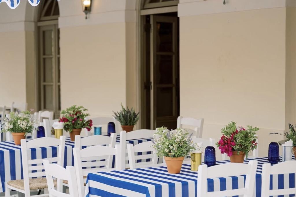 Taverna chair - Image 6