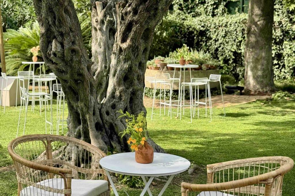 Palma rattan armchair - Image 12