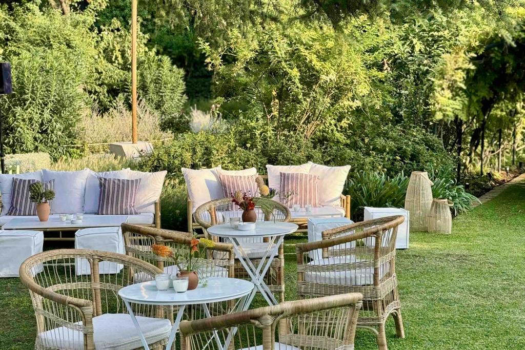 Palma rattan armchair - Image 10