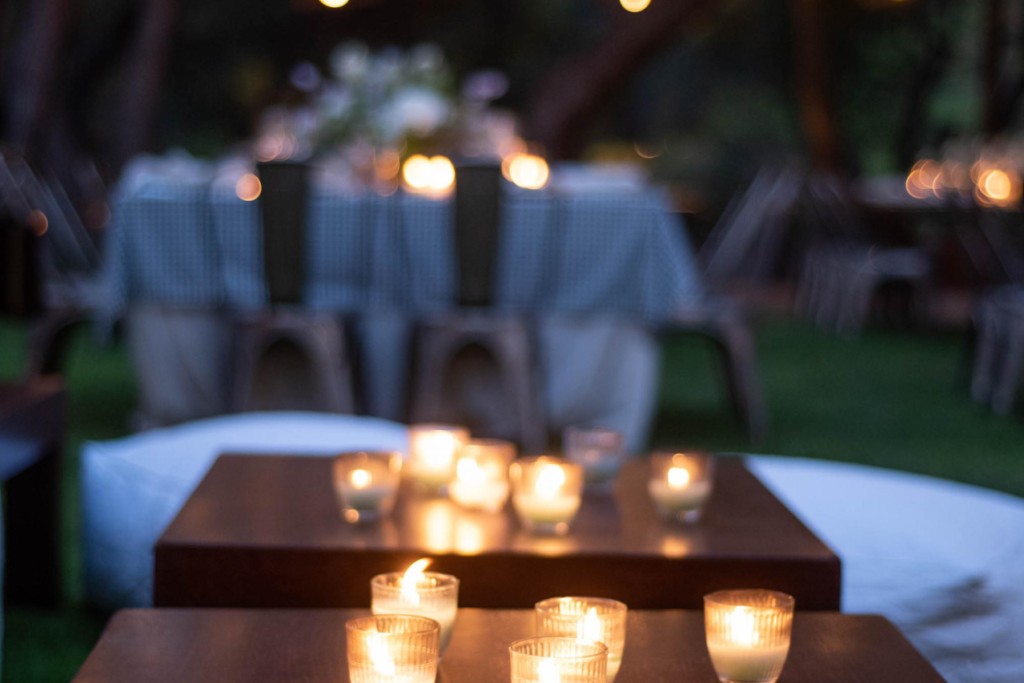 Forrest coffee table - Image 3